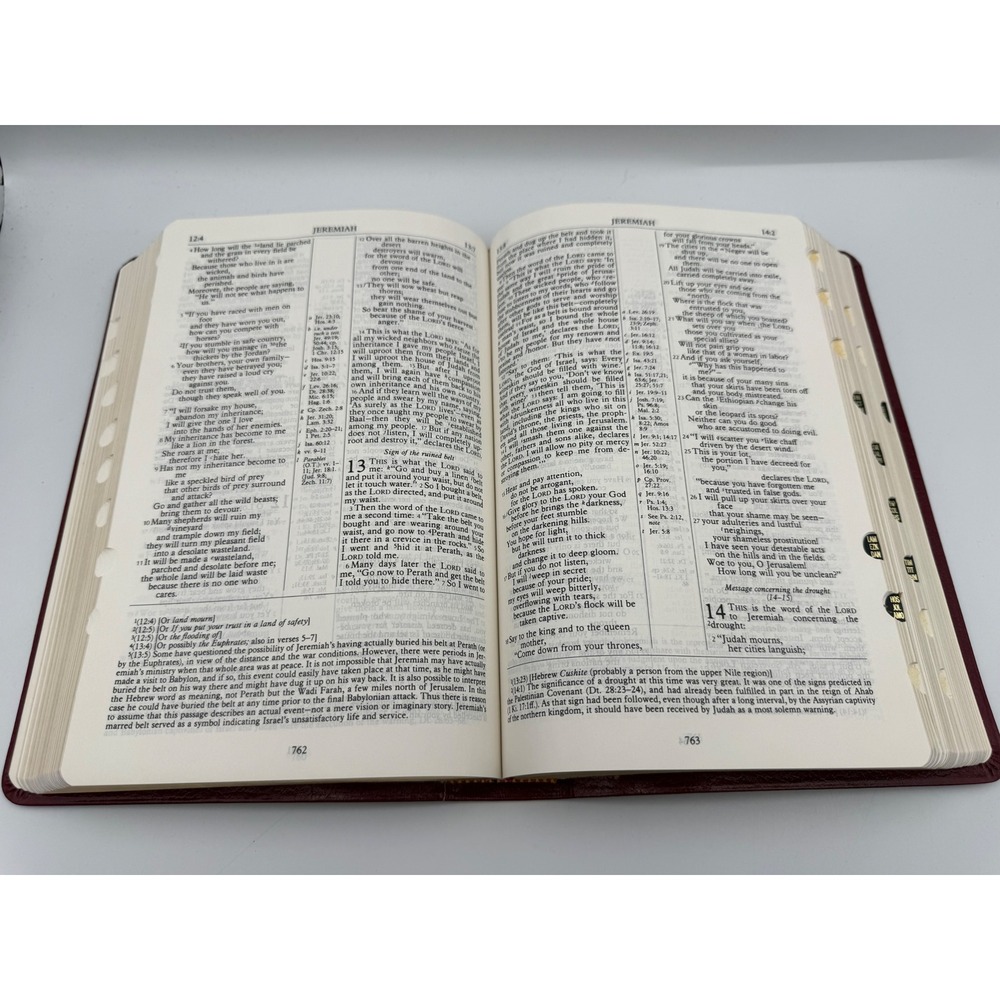 Oxford NIV Scofield Study Bible Burgundy New Scofield Study System 1984 Indexed - Picture 10 of 14